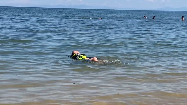 8月16日、息子と。の記事動画