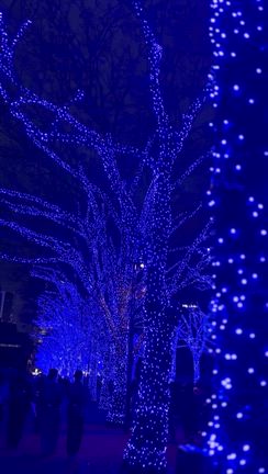 メリクリの記事動画