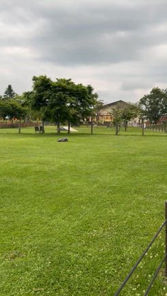 【後編】相変わらず軽井沢が好きな女のひとり旅♪の記事動画