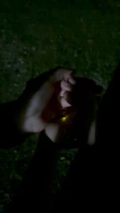 ホタルが飛び始めましたの記事動画