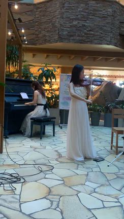 ヴァイオリンとピアノのコンサートの記事動画