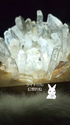 ナスフェスでのワークショップのお知らせです！の記事動画