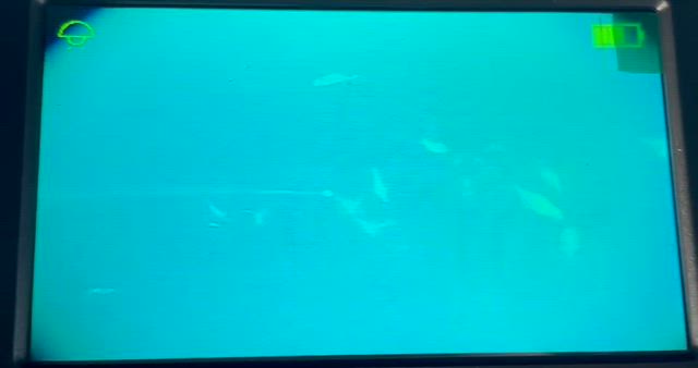 今日こそはの記事動画