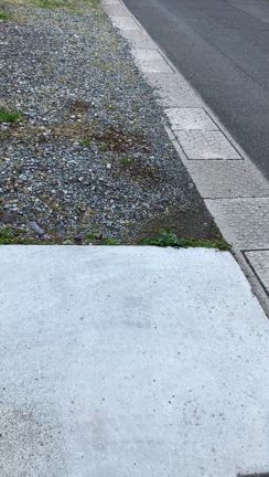 ウグイスの記事動画