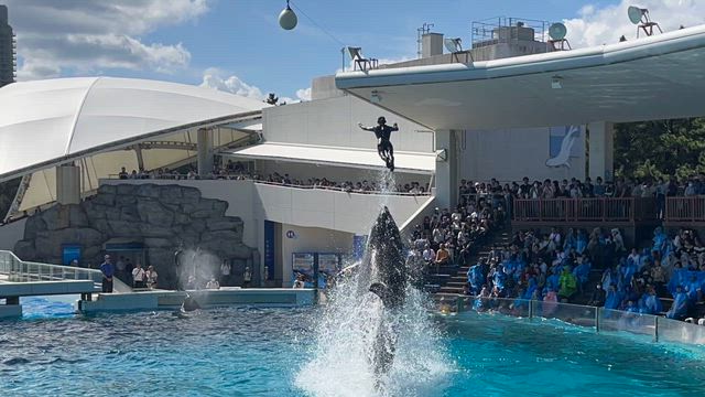 房州初老遊興記、其の壱の記事動画