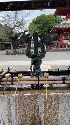 10か月ぶりの川越へ②の記事動画