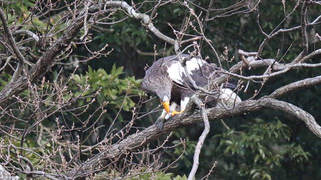 完食でしたの記事動画