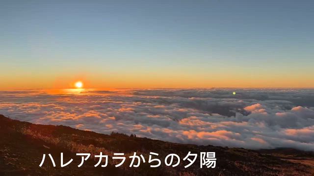 ハワイに行って来ましたの記事動画