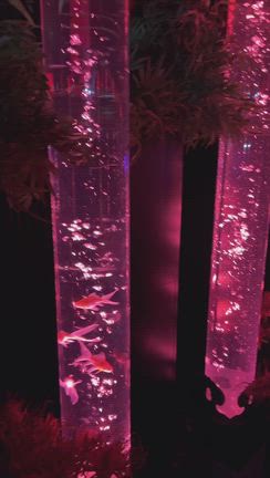 癒しの1日の記事動画