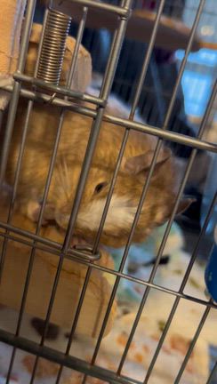 昨日のお話し　3月11日　もう15年経つのですね！の記事動画