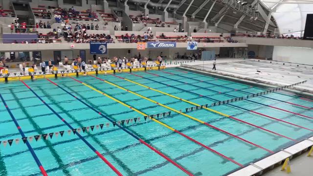 引退ブログ 野稲太陽の記事動画