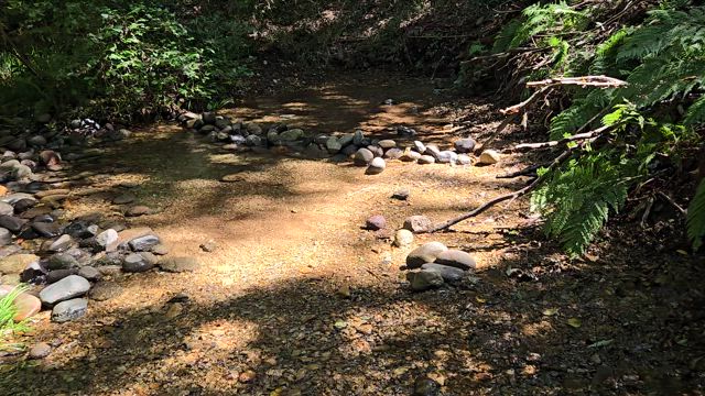 【ウォーキング】埼玉県新座市 野火止用水と妙音沢の記事動画