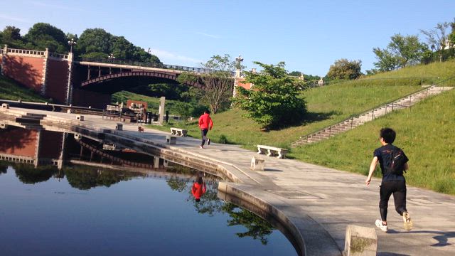 #時の流れの早さを感じた事（歩きたい）の記事動画