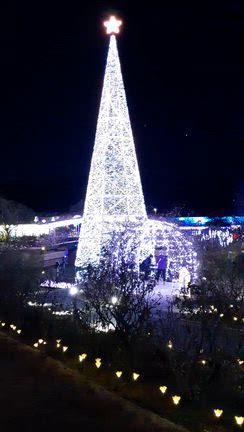 あしかがフラワーパークにて♪パート1の記事動画