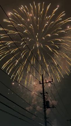 調布花火の記事動画