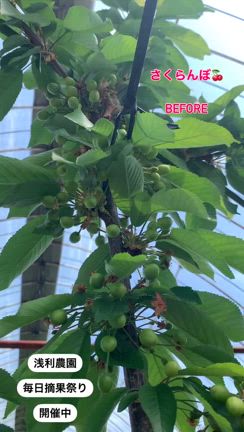 2025/05/14の記事動画