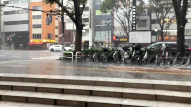 新宿土砂降りの記事動画