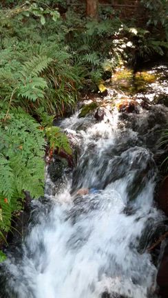 群馬県の最強パワースポット箱島湧水にてパワーチャージ完了の記事動画