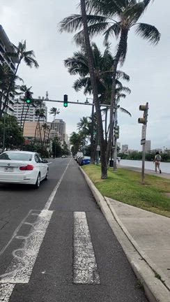 超節約ハワイ1ヶ月旅(5日目)沙希ちゃん大喜び！(o^^o)ガッツリ5時間！ホノルル動物園の記事動画