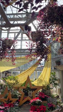 【神戸】クリスマスマーケットへ⭐︎の記事動画