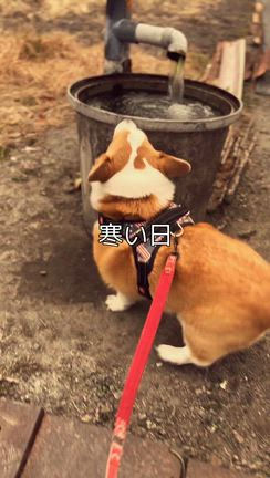 温かな心に感謝の記事動画