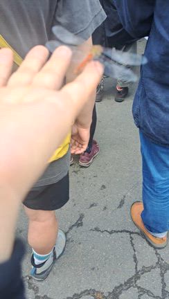 虫も参加するフジロックの記事動画