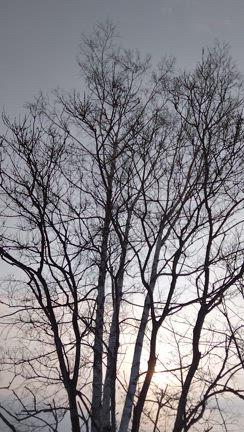 KIN237　行いを自分の意図に沿ったものにしようの記事動画