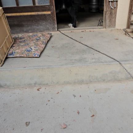 ②２泊３日の村滞在　２日目の記事動画