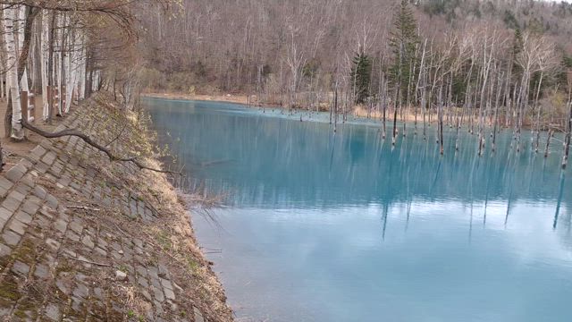 青い池の記事動画