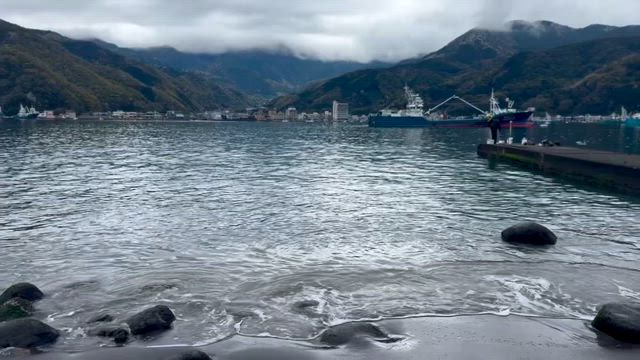 諸口神社祭典の記事動画