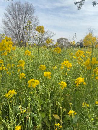 4月13日(日)出勤スタッフの記事動画