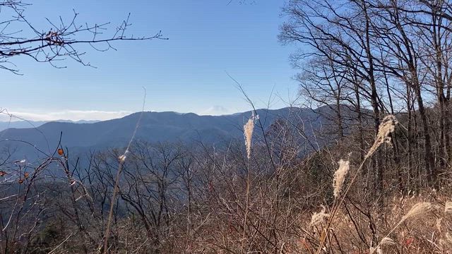 浅間尾根ハイキング 12.19.2025 ①の記事動画