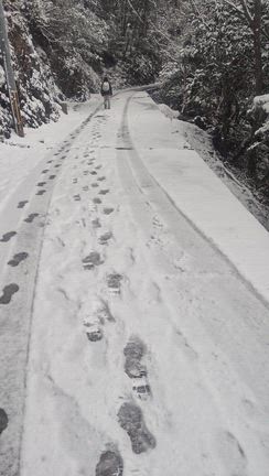 極寒の参拝登山☆の記事動画