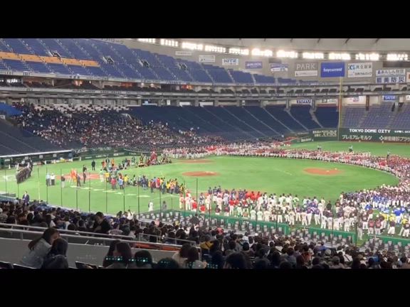 三多摩少年野球大会の記事動画