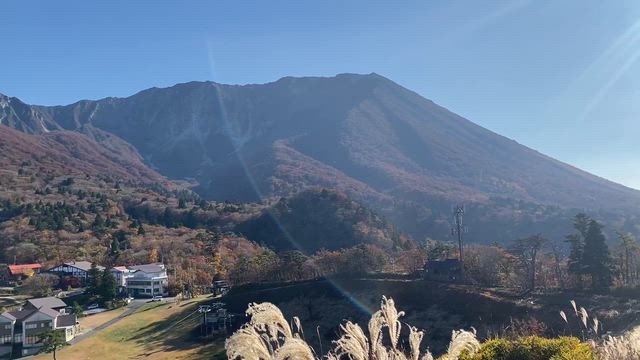 秋を満喫してきましたの記事動画