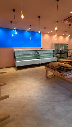 現実創造の力に触れる「お魚プロジェクト」の記事動画