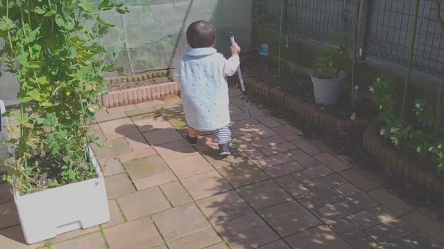 汚水管の掃除が終わって帰って行きましたの記事動画