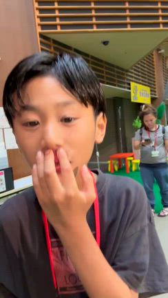 夏休みの悲劇の記事動画