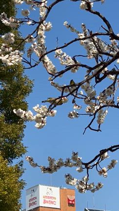 非日常を組み入れるの記事動画