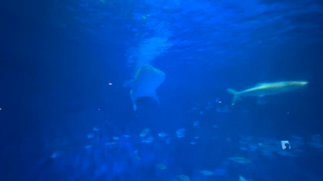 KENちゃんさんのプロフィールページ