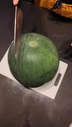 不本意だけど、スイカを収穫の記事動画