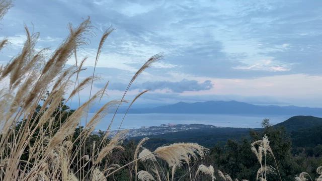 今年もウグイスに送られての記事動画