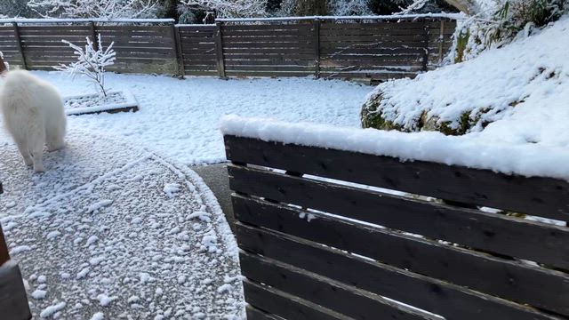 雪景色の記事動画