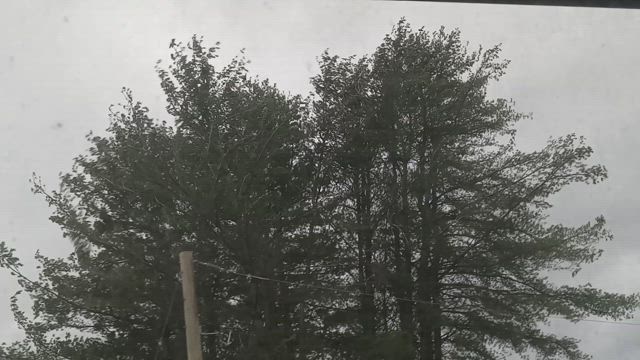 風がきついの記事動画