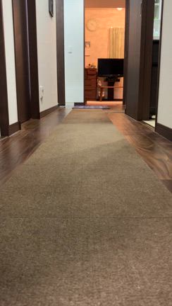 ぽんすけの変化の記事動画