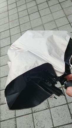 久し振りのネイルにテンション上がる！の記事動画