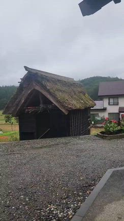 姉が我が家に到着して玄関から撮った動画が届きましたの記事動画