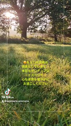 インターミッテットファスティングで！生き方が変わり自分が好きになるの記事動画