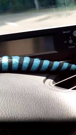 入院中の記事動画