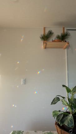 明日は大阪の記事動画